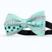 Papion personalizat, tematic, "Profesie de Avocat"